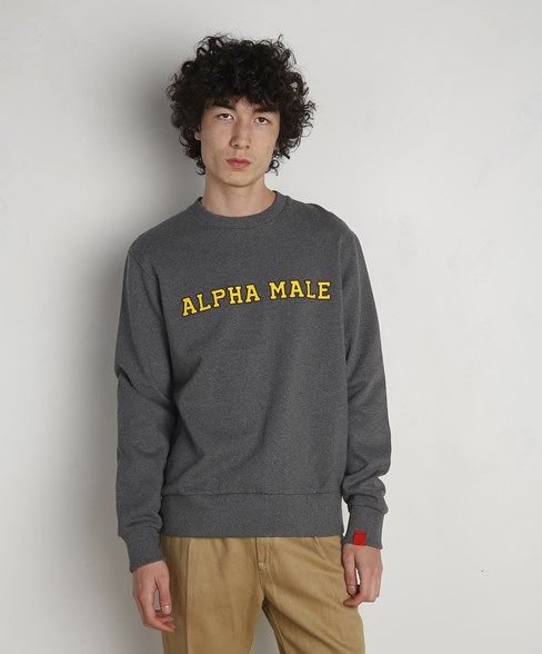 Sweater Alpha Male Medium Grey