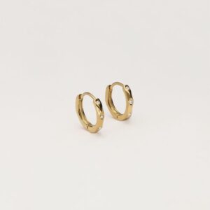 Kleine oorringen met strass GOUD